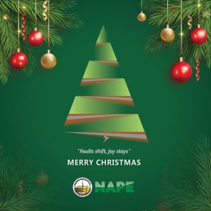 Merry Christmas from NAPE!