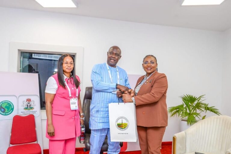NAPE Leadership Pays Courtesy Visit to Ministry of Petroleum Resources During NIES 2026